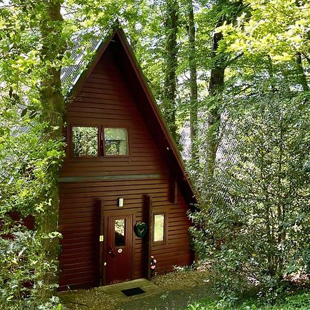 Peaceful Cowslip Lodge - Finlake Spa Resort In Devon Chudleigh Екстериор снимка